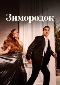 Зимородок (сериал, 2022) 1-3 сезон смотреть онлайн на Лордфильм